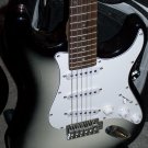 ELECTRIC SEMI PRO 3 PICKUP