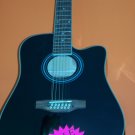 12 string accoustic