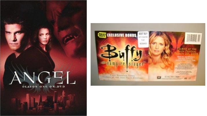 BTVS Angel Season 1 DVD Set (Bible) + Buffy 10th Anniversary Cast Reunion Disc 2008 Paley