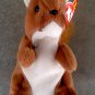 Beanie Baby 'Nuts' (Errors) Ty 1996 Retired PVC 1st Ed plush squirrel stuffed toy animal