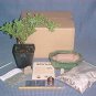 Juniper Procumbens Nana Bonsai Tree Kit
