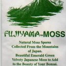 Japanese Mt. Fujiyama Bonsai Moss Spores