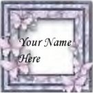 Ebay Store Logo Pink Gray Butterfly Border Dress Up your Ebay Store Add your Store Name!!