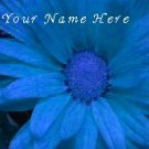 Ebay Store Logo Blue Flower Dress Up your Ebay Store Add your Store Name!!
