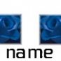 Ebay Store Logo Blue Roses Dress Up your Ebay Store Add your Store Name!!