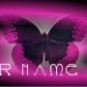Ebay Store Logo Pink Butterfly Dress Up your Ebay Store Add your Store Name!!