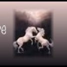 Ebay Store Logo White Horses Dress Up your Ebay Store Add your Store Name!!