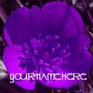 Ebay Store Logo Purple Flower Dress Up your Ebay Store Add your Store Name!!
