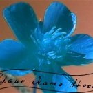Ebay Store Logo Blue Pink Flower Dress Up your Ebay Store Add your Store Name!!