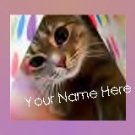 Ebay Store Logo Playful Kitten Pink Border Flower Dress Up your Ebay Store Add your Store Name!!