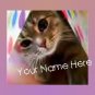 Ebay Store Logo Playful Kitten Pink Border Flower Dress Up your Ebay Store Add your Store Name!!