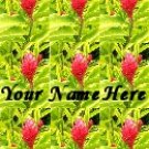 Ebay Store Logo Pink Green Flower BRIGHT Dress Up your Ebay Store Add your Store Name!!