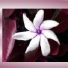 Ebay Store Logo White Marron Flower Dress Up your Ebay Store Add your Store Name!!