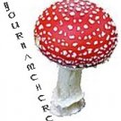 Ecrater Store Logo and HomePage Image Red Mushroom Dress Up your Ecrater Store Add your Store Name!!