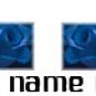 Ecrater Store Logo & HomePage Image Blue Rose Dress Up your Ecrater Store Add your Name!