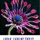 Ecrater Store Logo & HomePage Image Pink Cactus Flower Dress Up your Ecrater Store Add your Name!