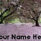 Ecrater Store Logo & HomePage Image Cherry Blossom Tree Pink Dress Up your Ecrater Store Your Name!