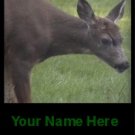 Ecrater Store Logo & HomePage Image Deer Doe Green Dress Up your Ecrater Store Add your Name!
