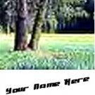 Ecrater Store Logo & HomePage Image Green Trees Forest Dress Up your Ecrater Store Add your Name!