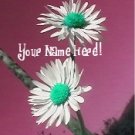 Ecrater Store Logo & HomePage Image Maroon Green White FLower Dress Up your Ecrater Store!