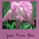 Ecrater Store Logo & HomePage Image Pink Flower Dress Up your Ecrater Store!!