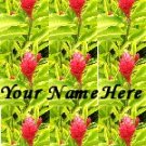 Ecrater Store Logo & HomePage Image Pink Green Hawaiian Flower Dress Up your Ecrater Store!!