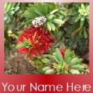 Ecrater Store Logo & HomePage Image Red White Hawaiian Flower Dress Up your Ecrater Store!!