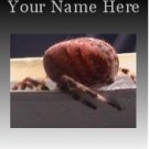 Ecrater Store Logo & HomePage Image Creepy Red Spider Dress Up your Ecrater Store!!