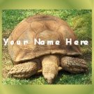 Ecrater Store Logo & HomePage Image Turtle Tortoise Green Dress Up your Ecrater Store!!