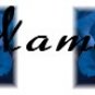 Neoloch.com Store Banner and Logo Combo Blue Rose Flower  Add your Store Name!