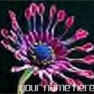 Neoloch.com Store Banner and Logo Combo Pink Blue Cactus Flower Add your Store Name!