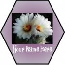 Neoloch.com Store Banner and Logo Combo White Cactus Flower Hexagon Add your Store Name!