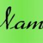 Neoloch.com Store Banner and Logo Combo Green Border Add your Store Name!