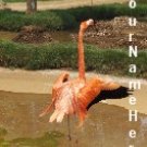 Neoloch.com Store Banner and Logo Combo Pink Flamingo Add your Store Name!