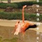 Neoloch.com Store Banner and Logo Combo Pink Flamingo Add your Store Name!