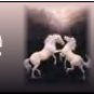 Neoloch.com Store Banner and Logo Combo White Horses Add your Store Name!