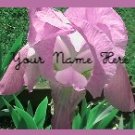 Neoloch.com Store Banner and Logo Combo Pink  Green Flower Add your Store Name!