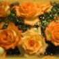 Neoloch.com Store Banner and Logo Combo Orange Rose Bouquet Flowers Add your Store Name!