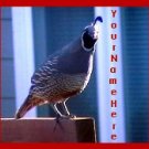 Neoloch.com Store Banner and Logo Combo Maroon Gray Quail Bird Add your Store Name!
