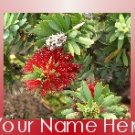 Neoloch.com Store Banner and Logo Combo Red White Green Hawaiian Flower Add your Store Name!