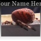 Neoloch.com Store Banner and Logo Combo Creepy Red Spider Add your Store Name!