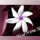 Neoloch.com Store Banner and Logo Combo Maroon White Flower Add your Store Name!