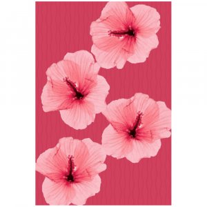 Hibiscus - 8x12 Print