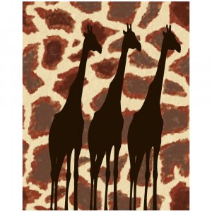 Trio - 8x 10 Print