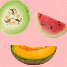 Summer Melon - 8x8 Print