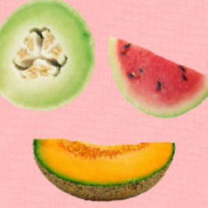 Summer Melon - 8x8 Print