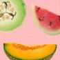 Summer Melon - 8x8 Print
