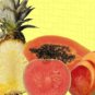 Tropical Fruits - 8x10 Print
