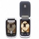 Motorola A1200 Black Quadband Pda Gsm Phone (unlocked)