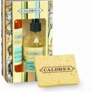 Caldrea Basil Blue Sage Kitchen Gift Set 8 oz. Countertop Cleanser & Dish Soap + Sponges RARE
